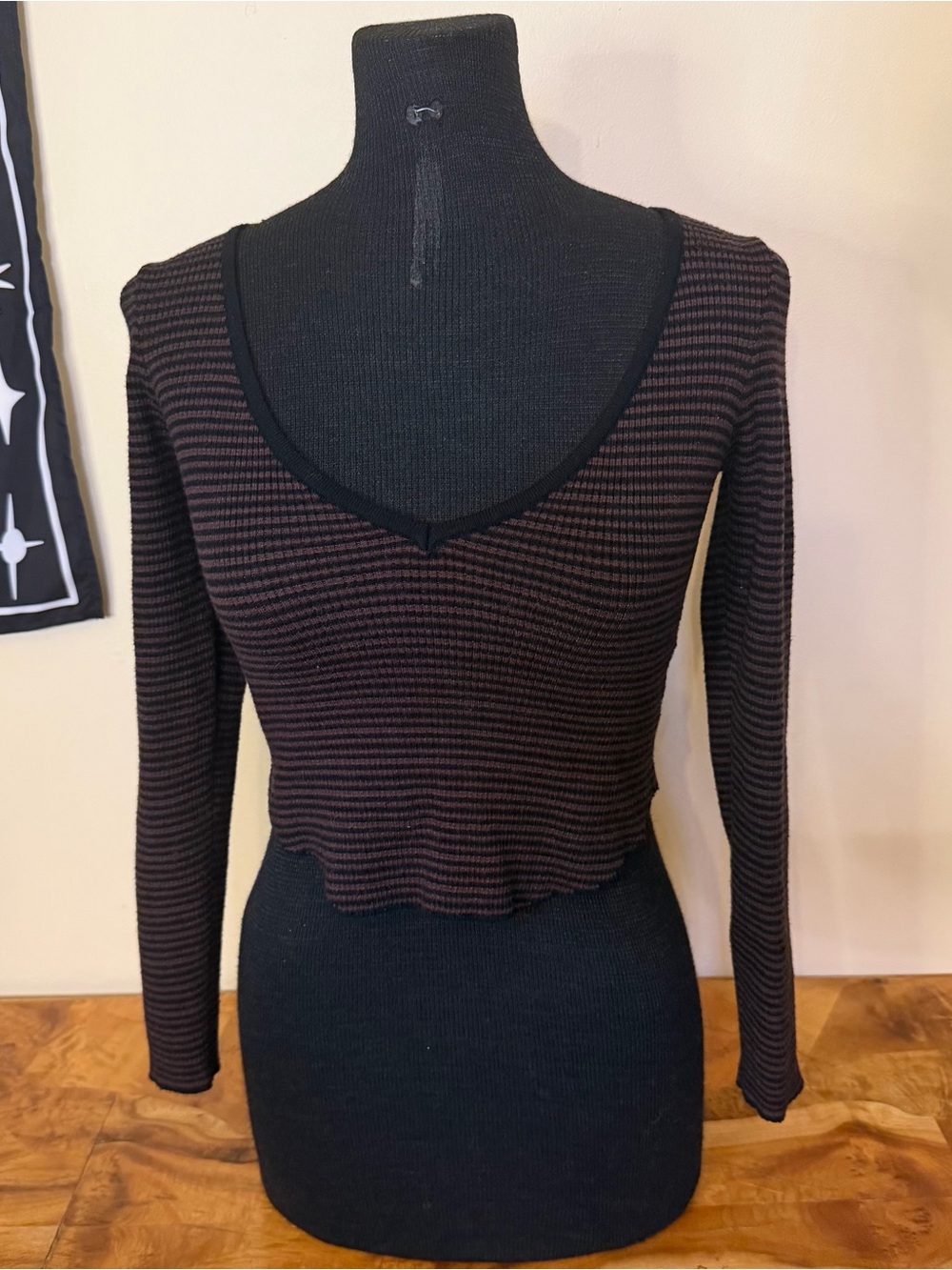 Striped S Crop Top Brown Cottagecore Whimsigoth LA Hearts